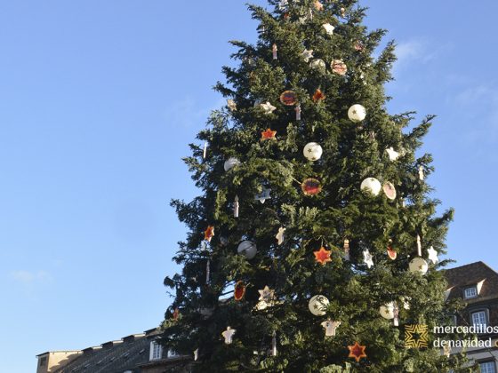 gran sapin estrasburgo