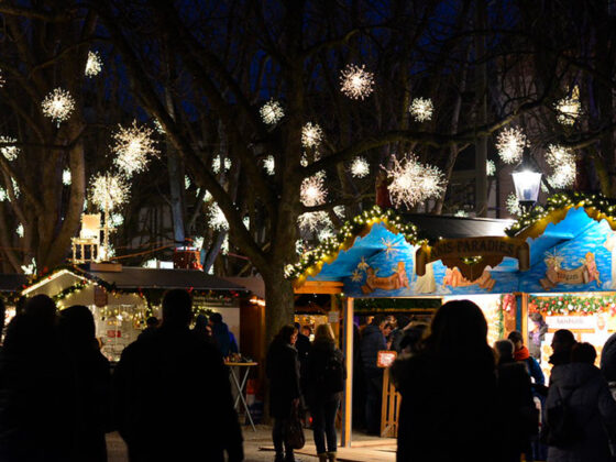especia lanvideño rac 1