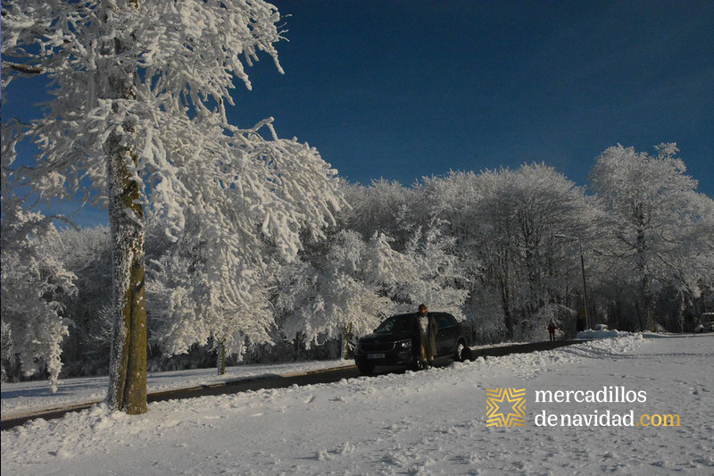 afueras de dresden en navidad