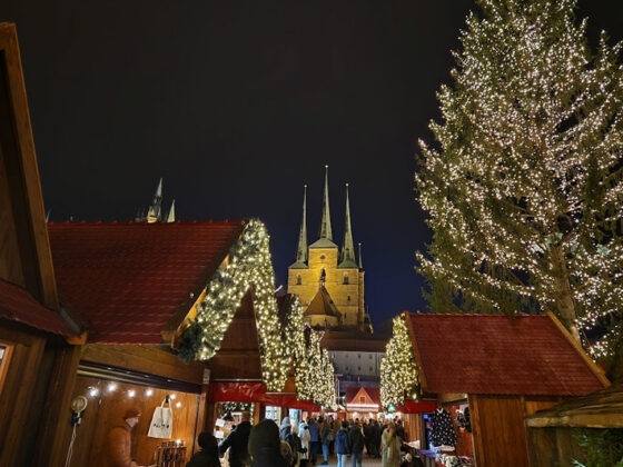 mercadillos de navidad de érfurt